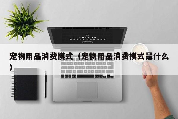 宠物用品消费模式（宠物用品消费模式是什么）