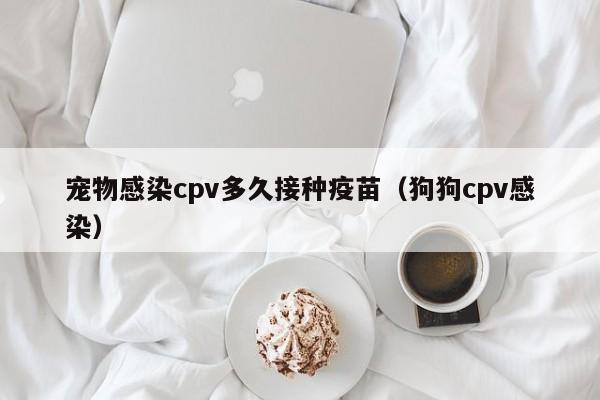 宠物感染cpv多久接种疫苗（狗狗cpv感染）