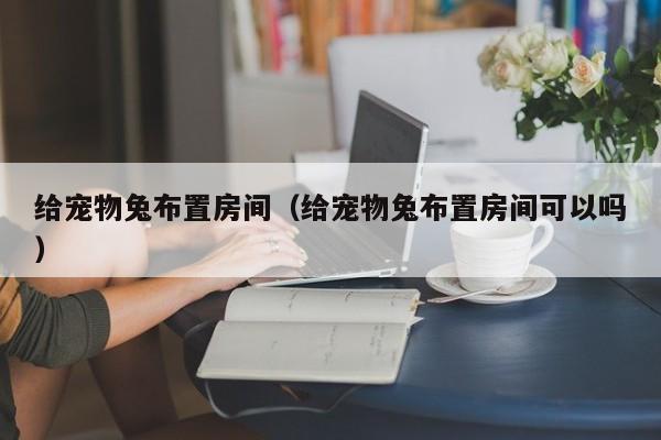 给宠物兔布置房间（给宠物兔布置房间可以吗）