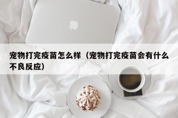 宠物打完疫苗怎么样（宠物打完疫苗会有什么不良反应）