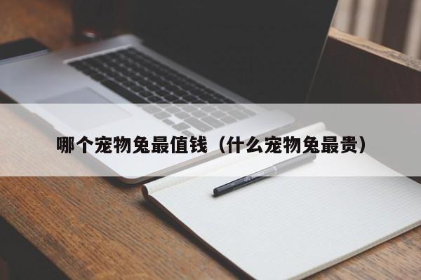 哪个宠物兔最值钱（什么宠物兔最贵）