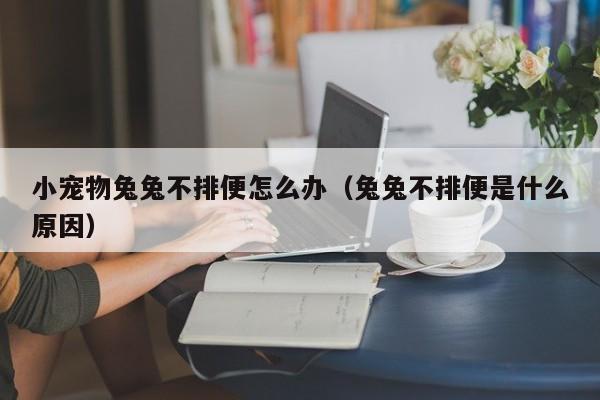 小宠物兔兔不排便怎么办（兔兔不排便是什么原因）