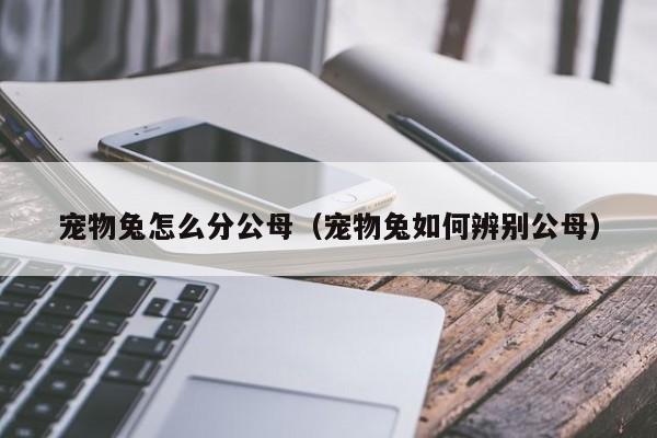 宠物兔怎么分公母（宠物兔如何辨别公母）