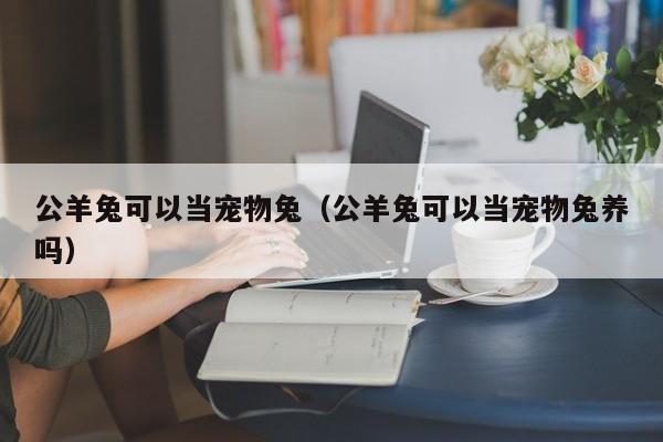 公羊兔可以当宠物兔（公羊兔可以当宠物兔养吗）