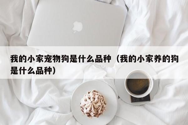 我的小家宠物狗是什么品种（我的小家养的狗是什么品种）