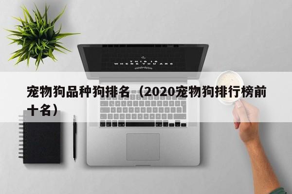 宠物狗品种狗排名（2020宠物狗排行榜前十名）