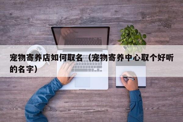 宠物寄养店如何取名（宠物寄养中心取个好听的名字）