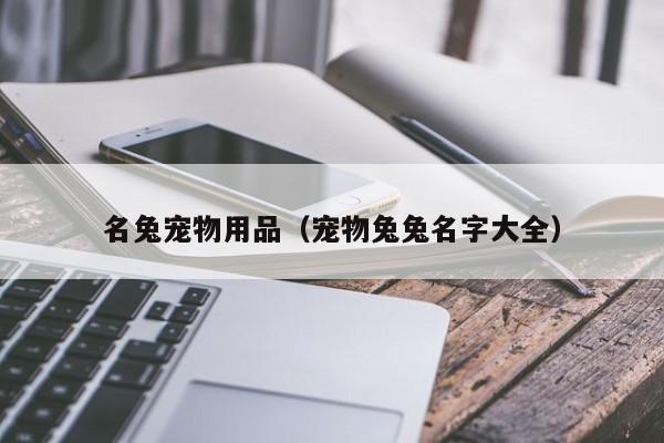 名兔宠物用品（宠物兔兔名字大全）