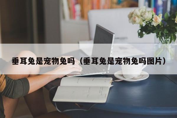 垂耳兔是宠物兔吗（垂耳兔是宠物兔吗图片）