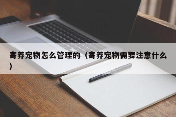 寄养宠物怎么管理的（寄养宠物需要注意什么）