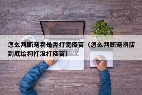 怎么判断宠物是否打完疫苗（怎么判断宠物店到底给狗打没打疫苗）