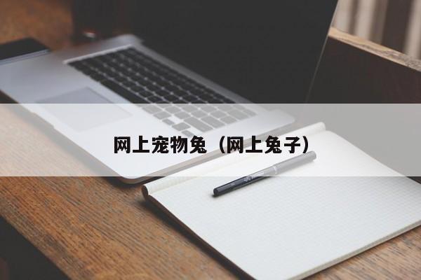 网上宠物兔（网上兔子）