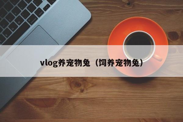 vlog养宠物兔（饲养宠物兔）