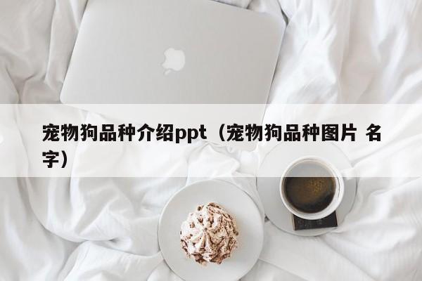 宠物狗品种介绍ppt（宠物狗品种图片 名字）