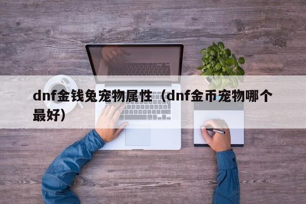 dnf金钱兔宠物属性（dnf金币宠物哪个最好）