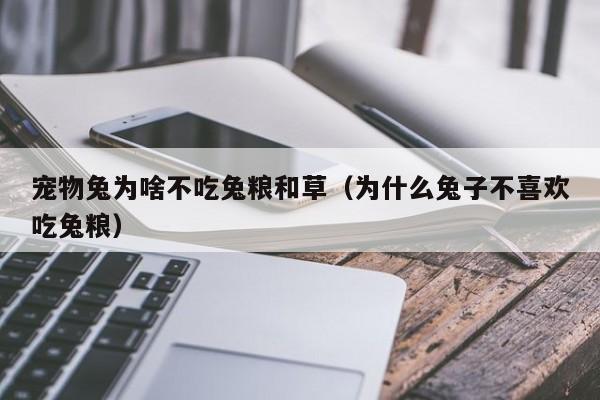 宠物兔为啥不吃兔粮和草（为什么兔子不喜欢吃兔粮）