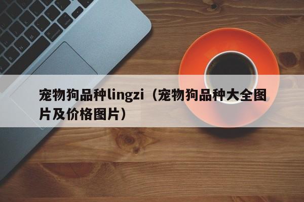 宠物狗品种lingzi（宠物狗品种大全图片及价格图片）