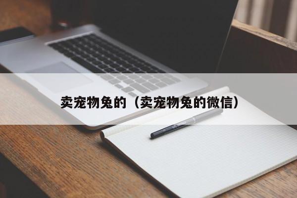 卖宠物兔的（卖宠物兔的微信）