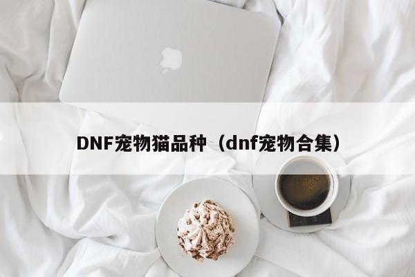 DNF宠物猫品种（dnf宠物合集）