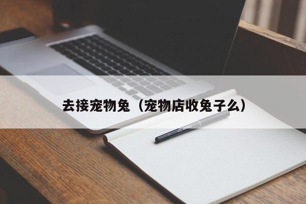 去接宠物兔（宠物店收兔子么）