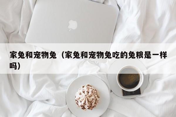 家兔和宠物兔（家兔和宠物兔吃的兔粮是一样吗）