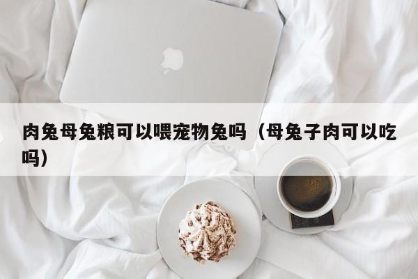 肉兔母兔粮可以喂宠物兔吗（母兔子肉可以吃吗）