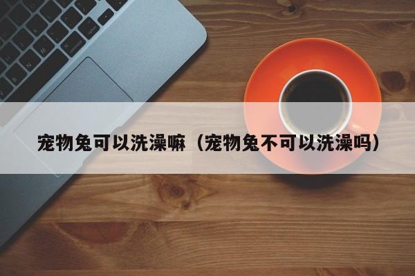 宠物兔可以洗澡嘛（宠物兔不可以洗澡吗）