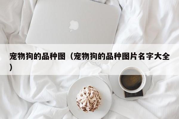 宠物狗的品种图（宠物狗的品种图片名字大全）