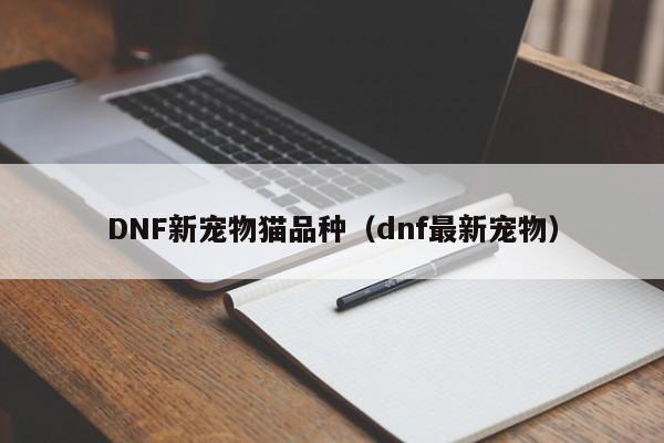 DNF新宠物猫品种（dnf最新宠物）