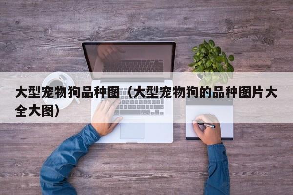 大型宠物狗品种图（大型宠物狗的品种图片大全大图）