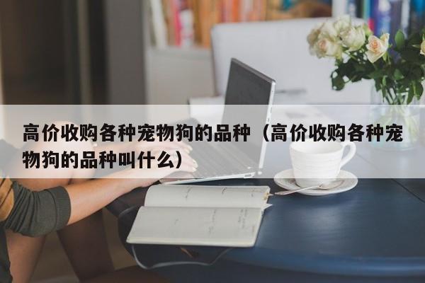 高价收购各种宠物狗的品种（高价收购各种宠物狗的品种叫什么）