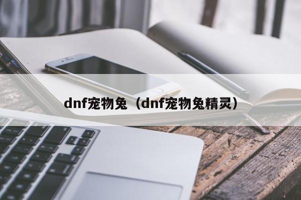 dnf宠物兔（dnf宠物兔精灵）