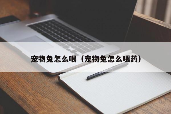 宠物兔怎么喂（宠物兔怎么喂药）