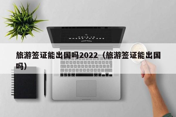 旅游签证能出国吗2022（旅游签证能出国吗）