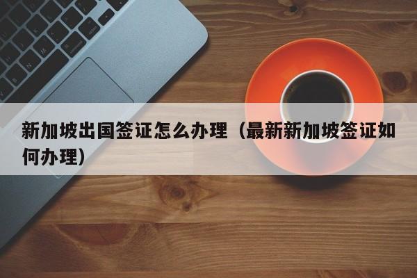 新加坡出国签证怎么办理（最新新加坡签证如何办理）