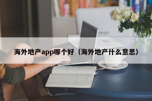 海外地产app哪个好（海外地产什么意思）