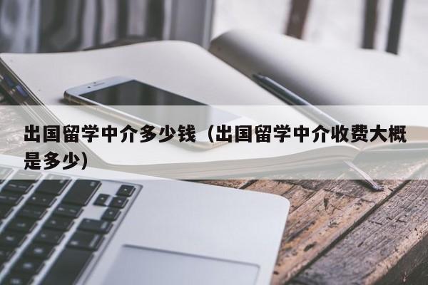 出国留学中介多少钱（出国留学中介收费大概是多少）