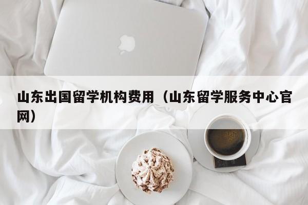 山东出国留学机构费用（山东留学服务中心官网）