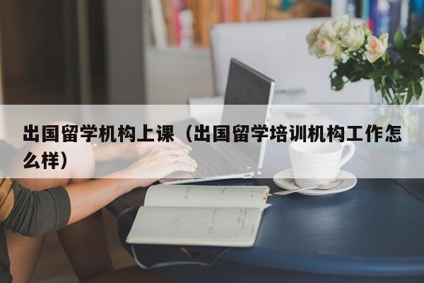 出国留学机构上课（出国留学培训机构工作怎么样）