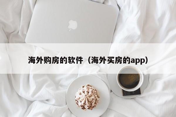 海外购房的软件（海外买房的app）