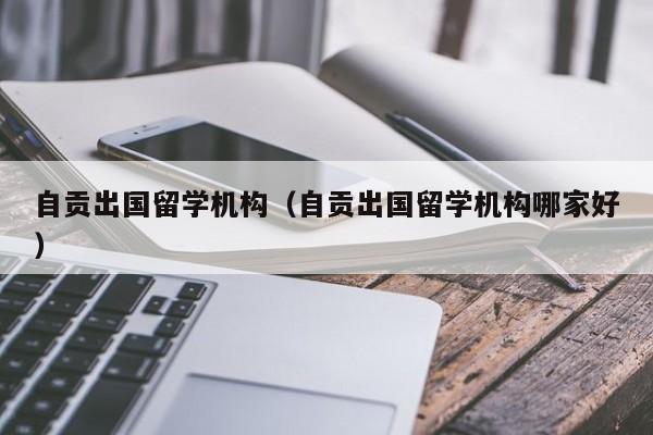 自贡出国留学机构（自贡出国留学机构哪家好）