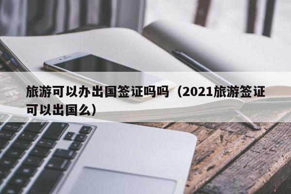 旅游可以办出国签证吗吗（2021旅游签证可以出国么）