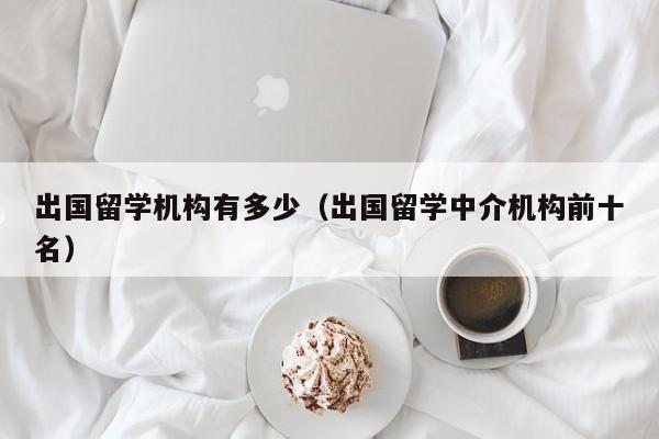 出国留学机构有多少（出国留学中介机构前十名）